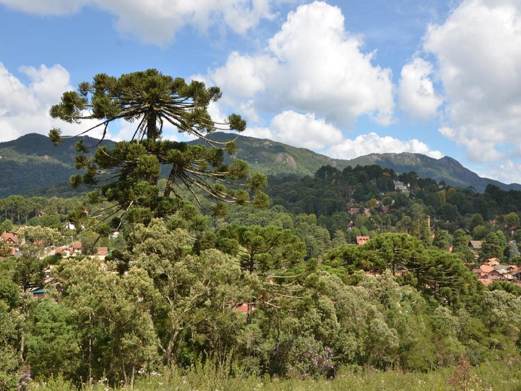 Green Village Hotel Monte Verde  Buitenkant foto